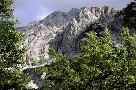 31 La cresta dalla Val Trebiscina